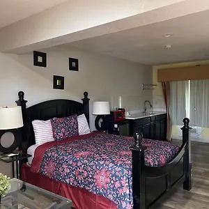 https://delux-inn-clearwater.hotelstampa.org